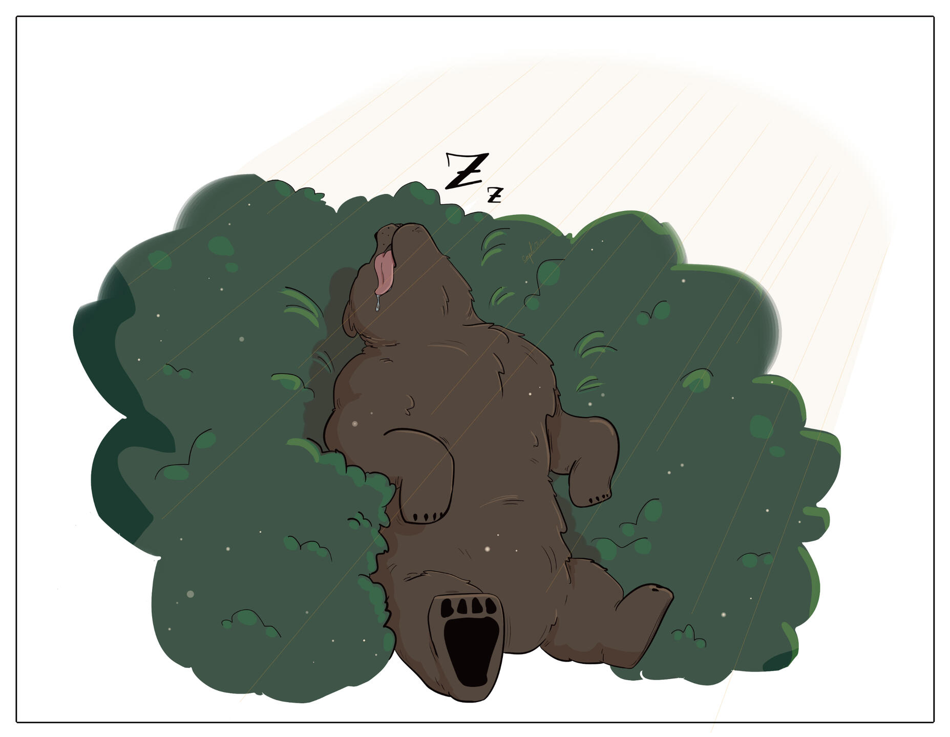 Snoozy bear